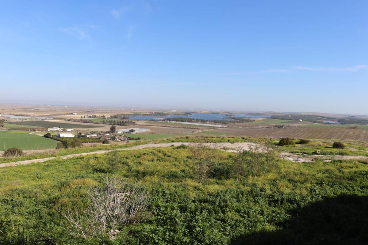 Lebrija acogerá la V Jornada de Búsqueda Desaparecidos en Entorno Rural Lebrija acogerá la V Jornada de Búsqueda Desaparecidos en Entorno Rural