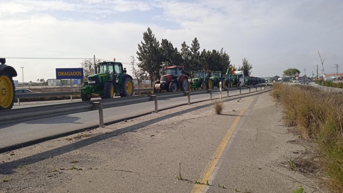 El Ayuntamiento de Lebrija muestra su apoyo a las reivindicaciones del sector agrario  El Ayuntamiento de Lebrija muestra su apoyo a las reivindicaciones del sector agrario