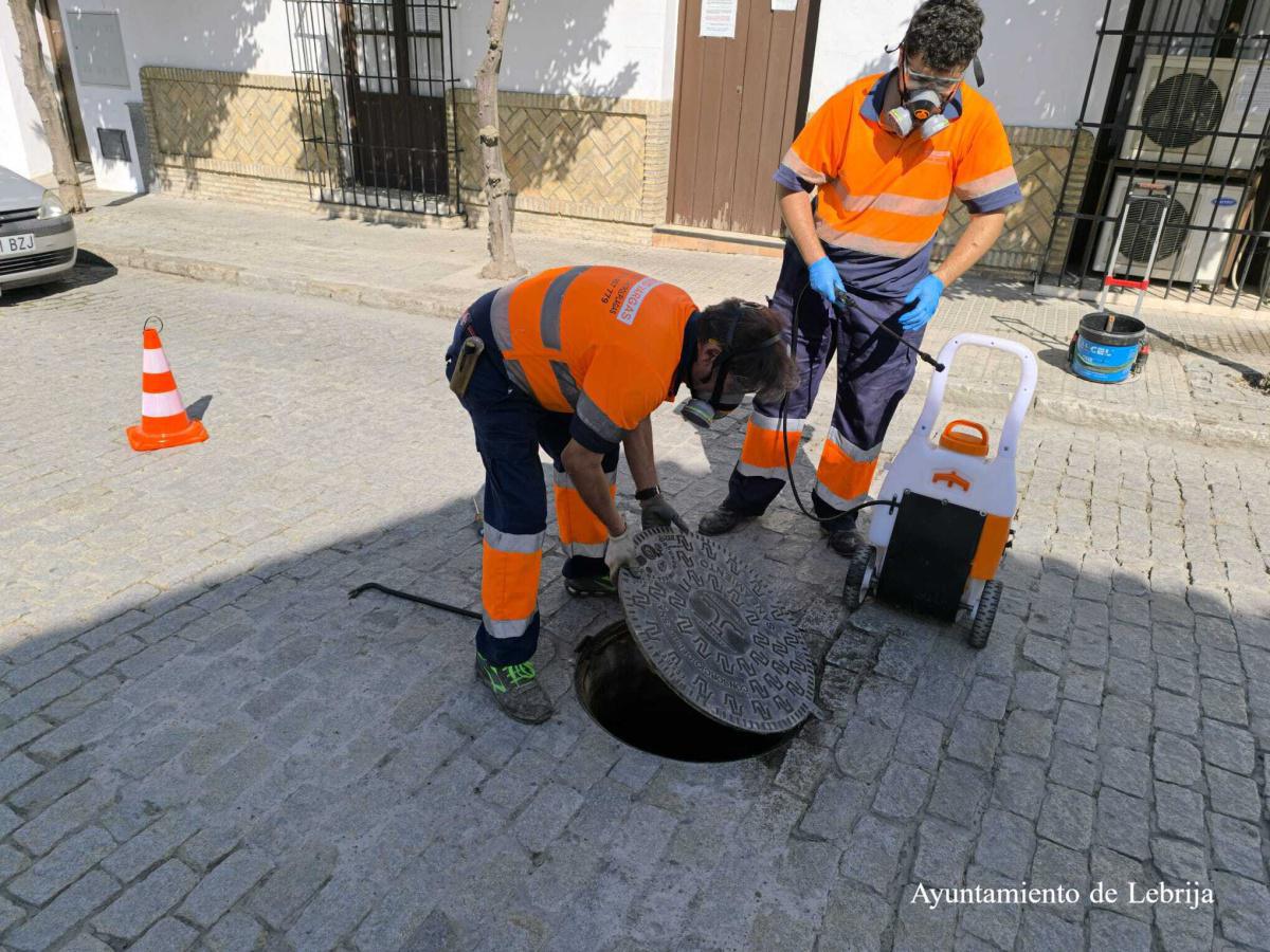 El Ayuntamiento de Lebrija continúa con tareas preventivas de desinsectación y desratización