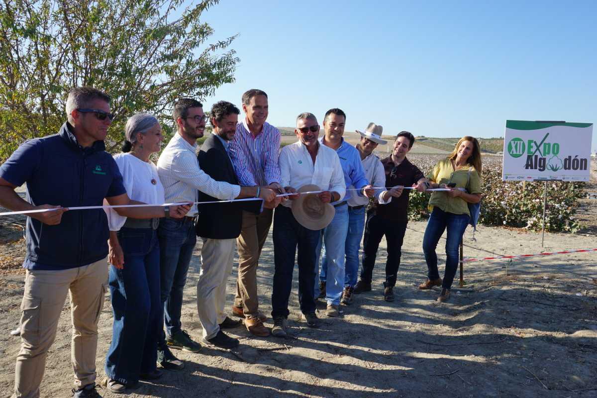 Lebrija acoge la celebración de la XII edición de Expoalgodón