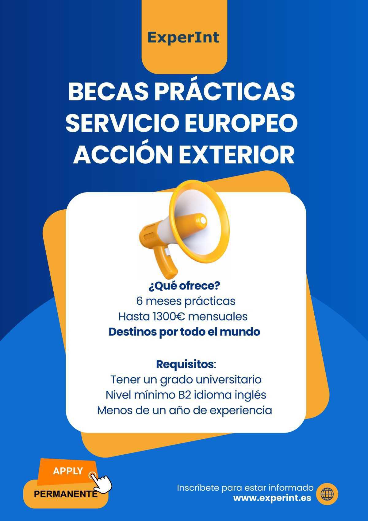 Taller online sobre las becas de prácticas en el Servicio de Acción Exterior de la Unión Europea