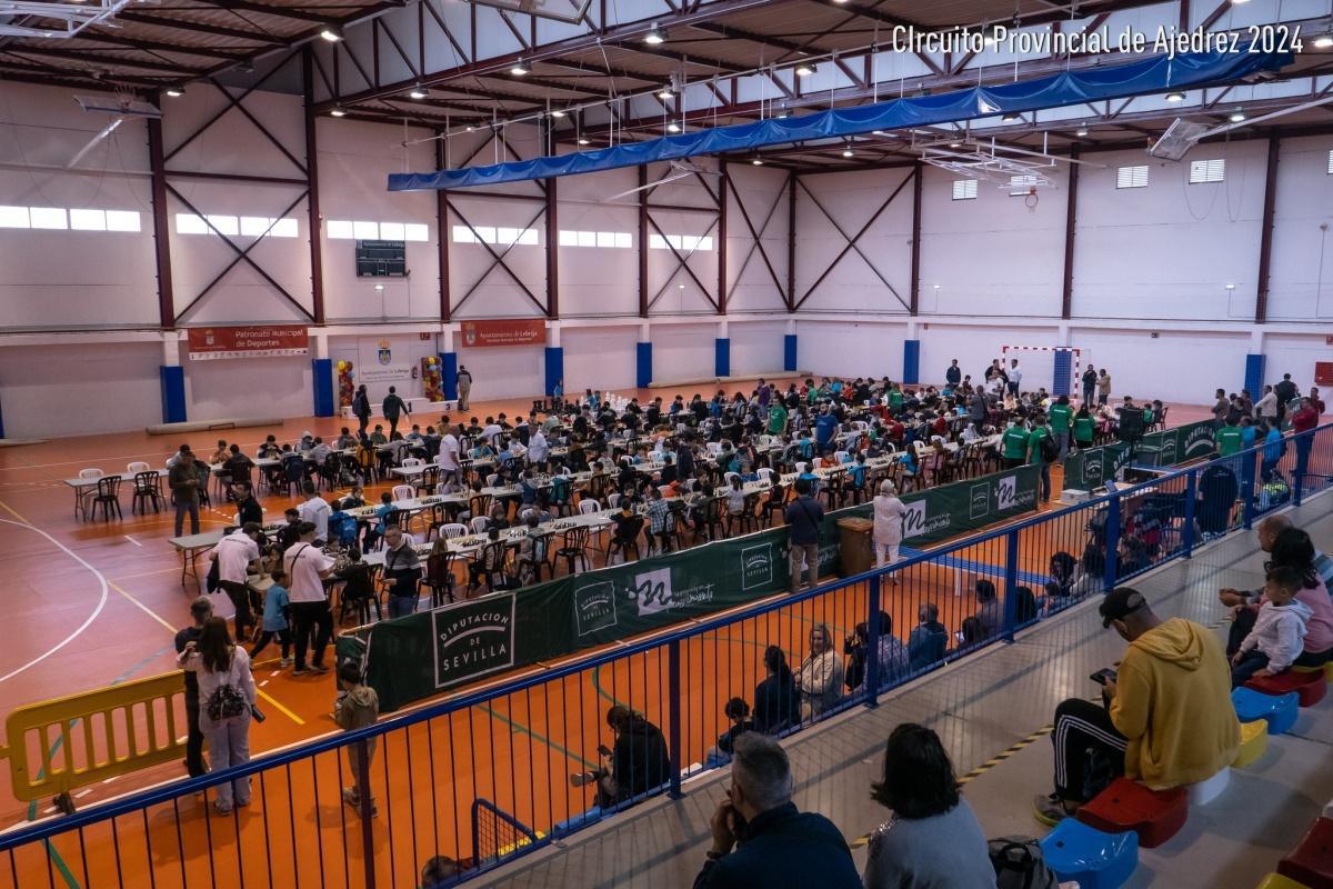  La Diputación de Sevilla concede una subvención al Patronato Municipal de Deportes para gastos de desplazamientos para el fomento de actividades deportivas