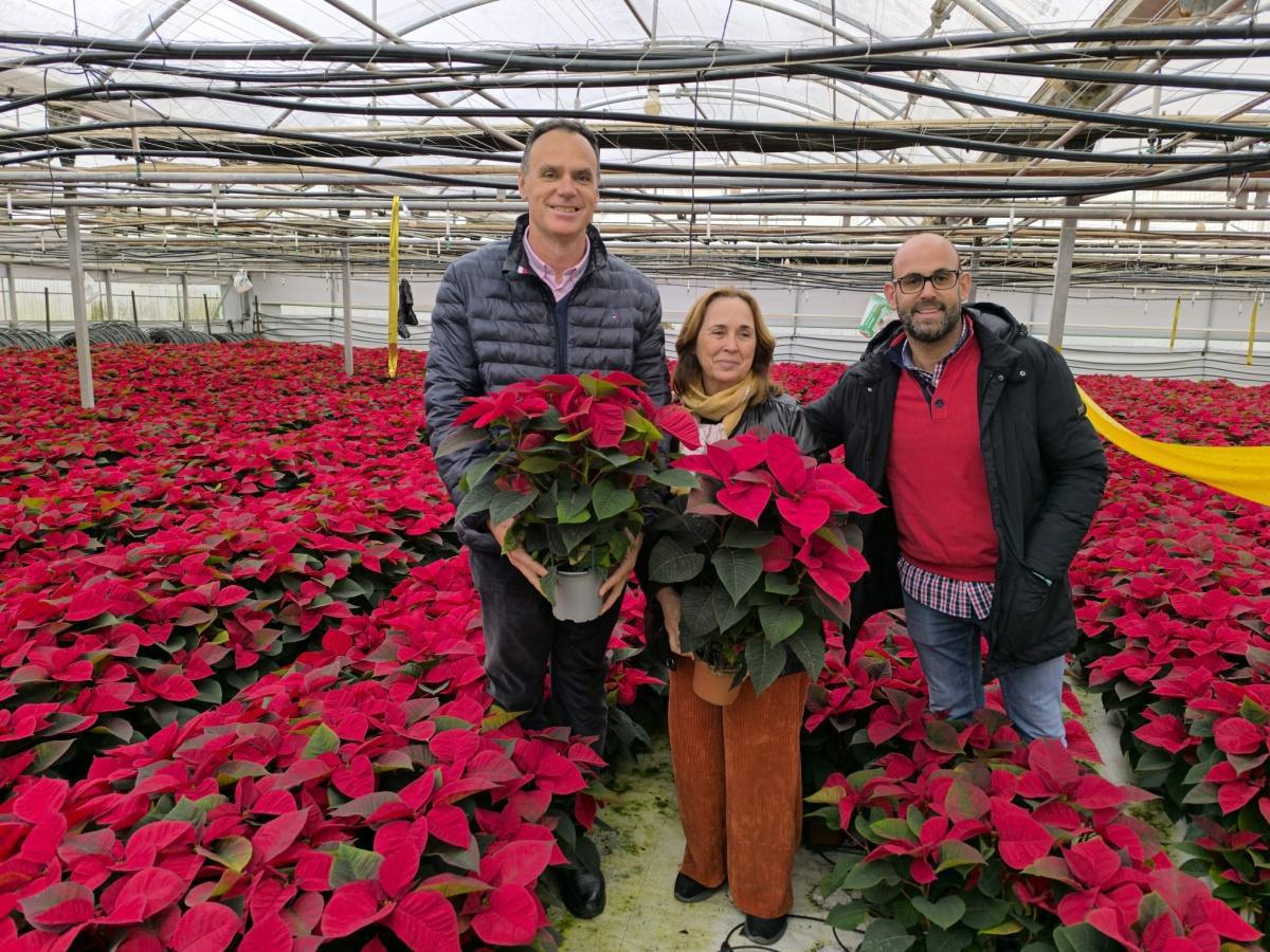 La empresa lebrijana Flores de Lebrija se encuentra en plena campaña de producción