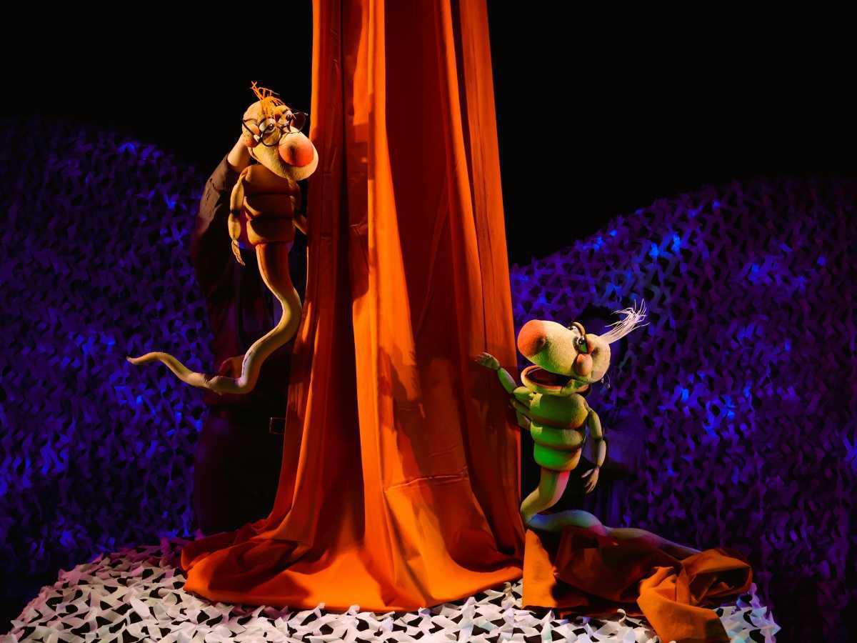 El fantástico viaje de Jonás el espermatozoide // 20 de marzo 