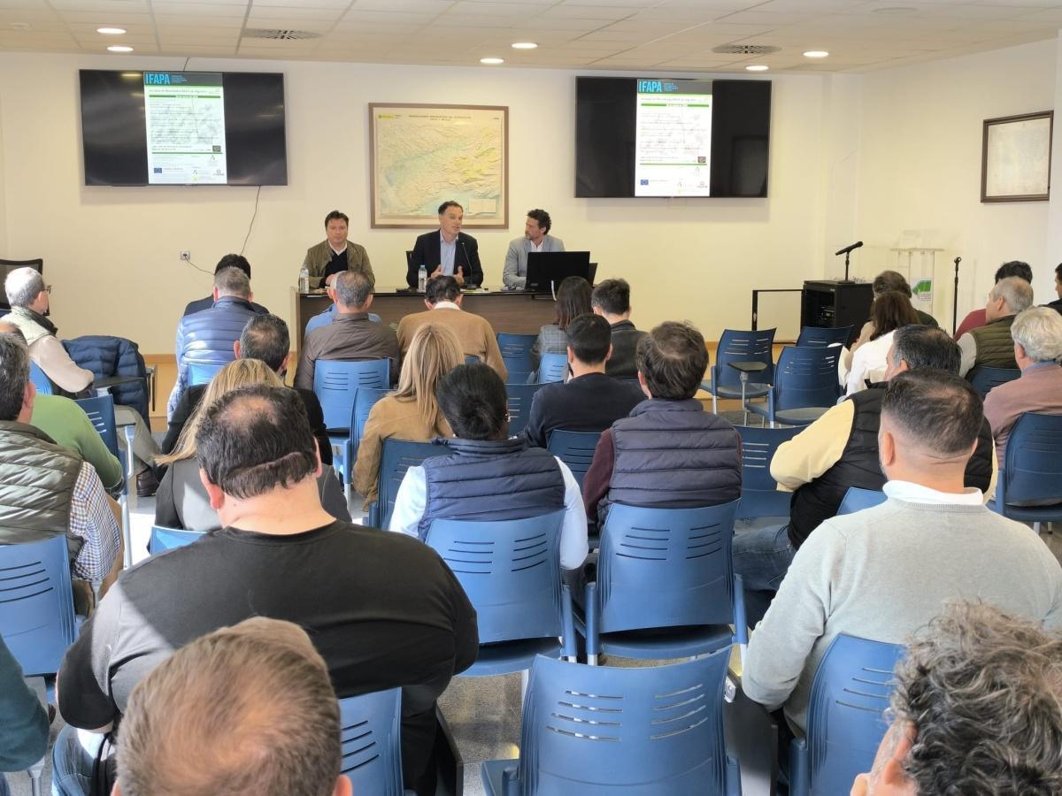 Celebrada una jornada de Resultados RAEA de Algodón con el análisis de la campaña 2024