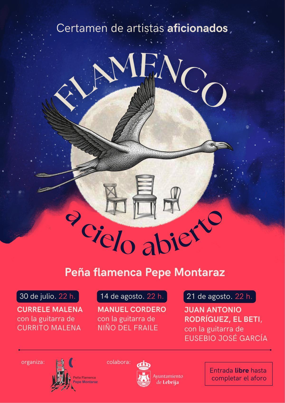 "Flamenco a cielo abierto" regresa a la azotea de la Peña Pepe Montaraz