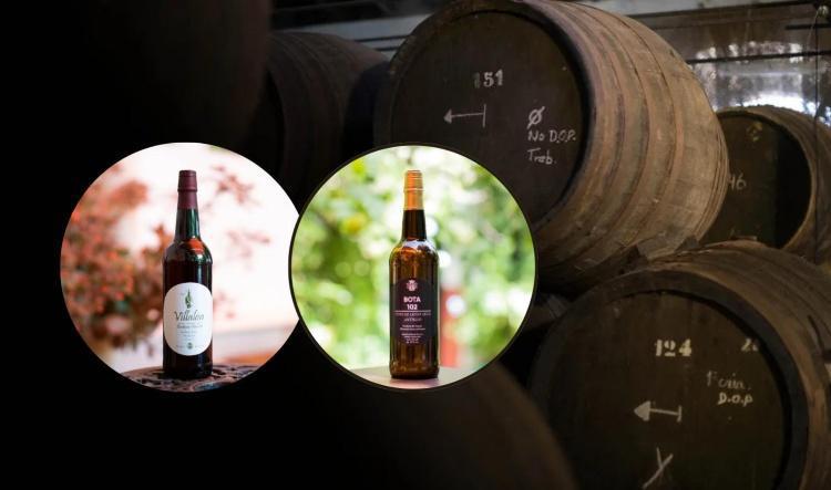 Bota 102 y Villalón, de Bodegas Halcón, entre los mejores caldos de la provincia