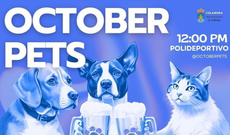 Este sábado 1 de noviembre se celebra en el Polideportivo la primera edición del October Pets