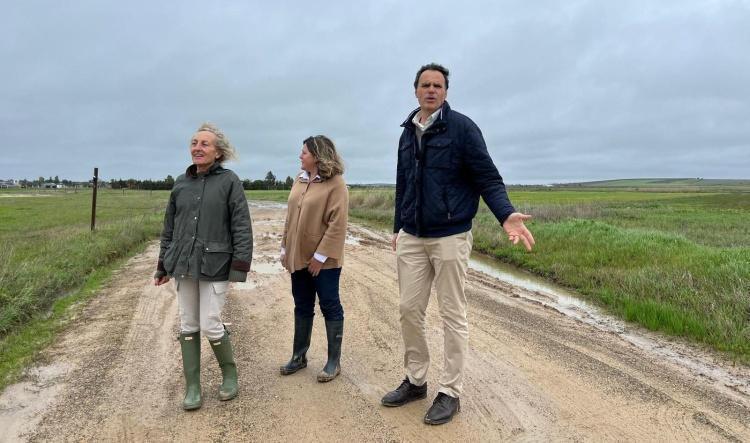 El Alcalde de Lebrija solicita al Gobierno de España la declaración de zona gravemente afectada y reclama ayudas urgentes a la Junta de Andalucía tras los graves daños por las borrascas