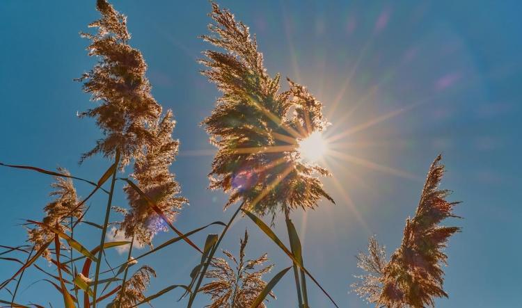 Recomendaciones ante las altas temperaturas previstas para los próximos días