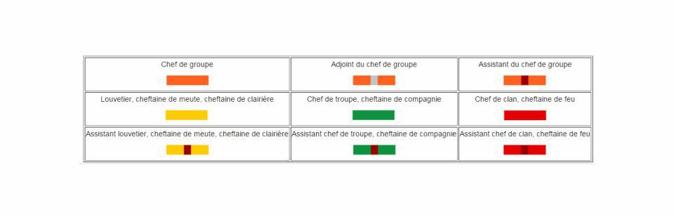 Investiture d'un chef d'unité 