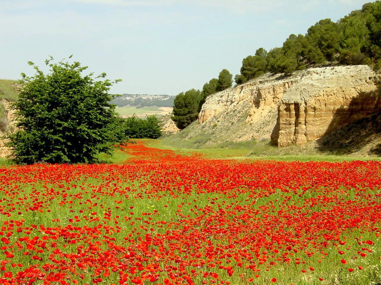 Valle de Perejón