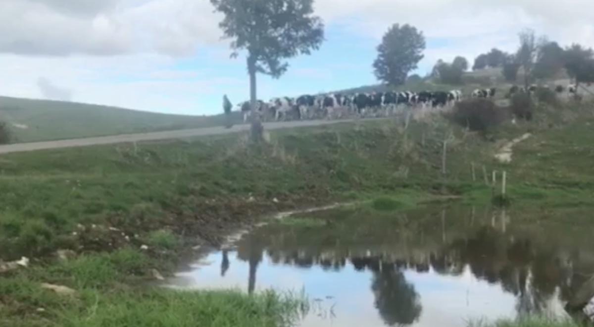 Malga Campoleva' di Sotto