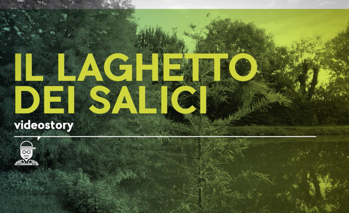 Il Laghetto dei Salici Il Laghetto dei Salici