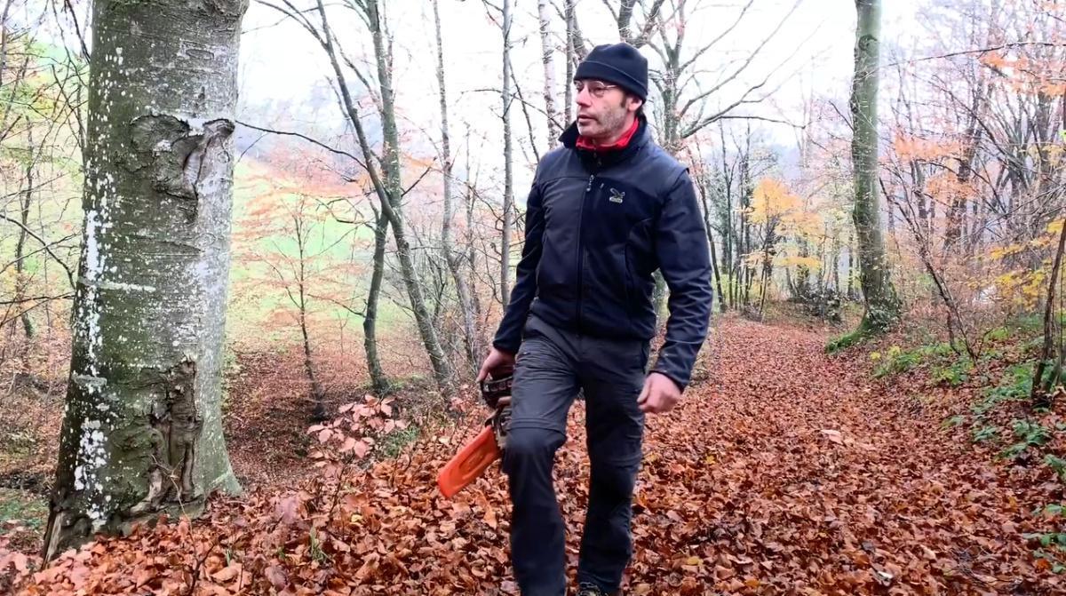 L'uomo degli alberi