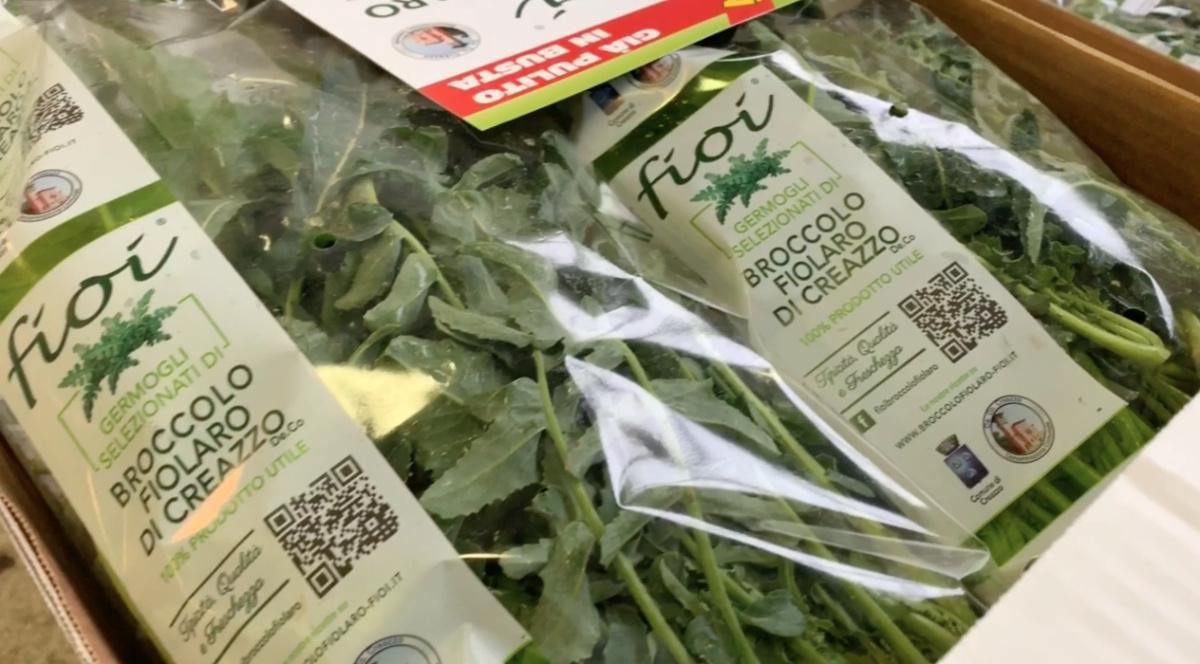 Quanti Figli a Creazzo... grazie al Broccolo!