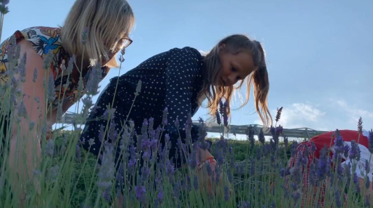 Malga Zebari, il cuore e la resilienza Malga Zebari, il cuore e la resilienza