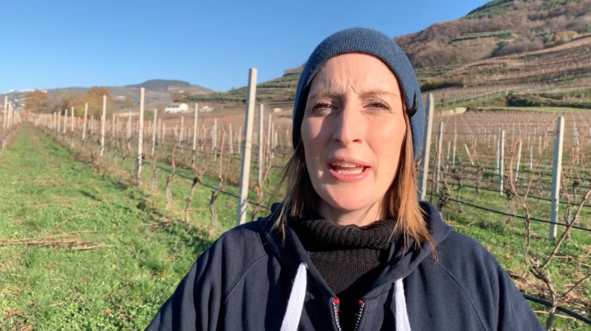 L'amarone "rosa" di Corte Canella L'amarone "rosa" di Corte Canella