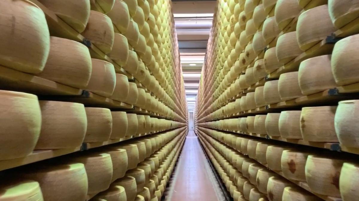 Lo stagionatore dell'Astico Lo stagionatore dell'Astico