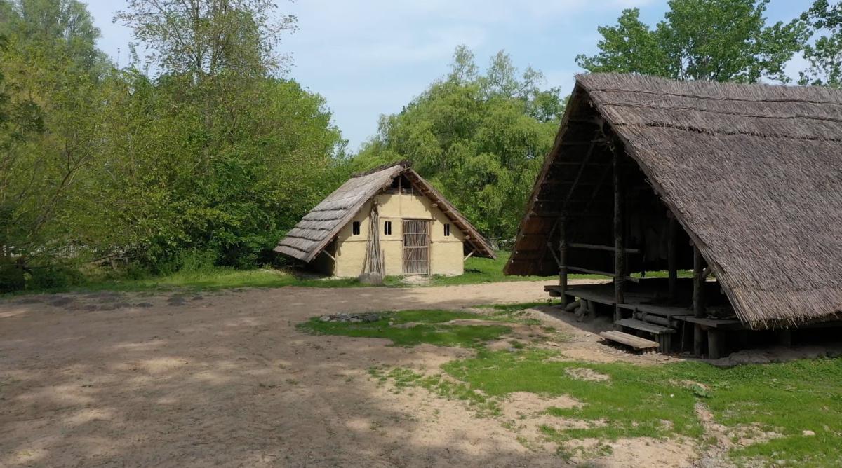 Riscopriamo la nostra bellezza: Bovolone Riscopriamo la nostra bellezza: Bovolone