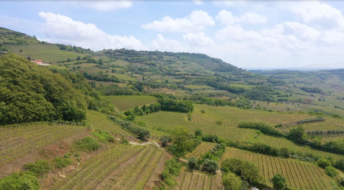 Riscopriamo la nostra bellezza: Soave Riscopriamo la nostra bellezza: Soave