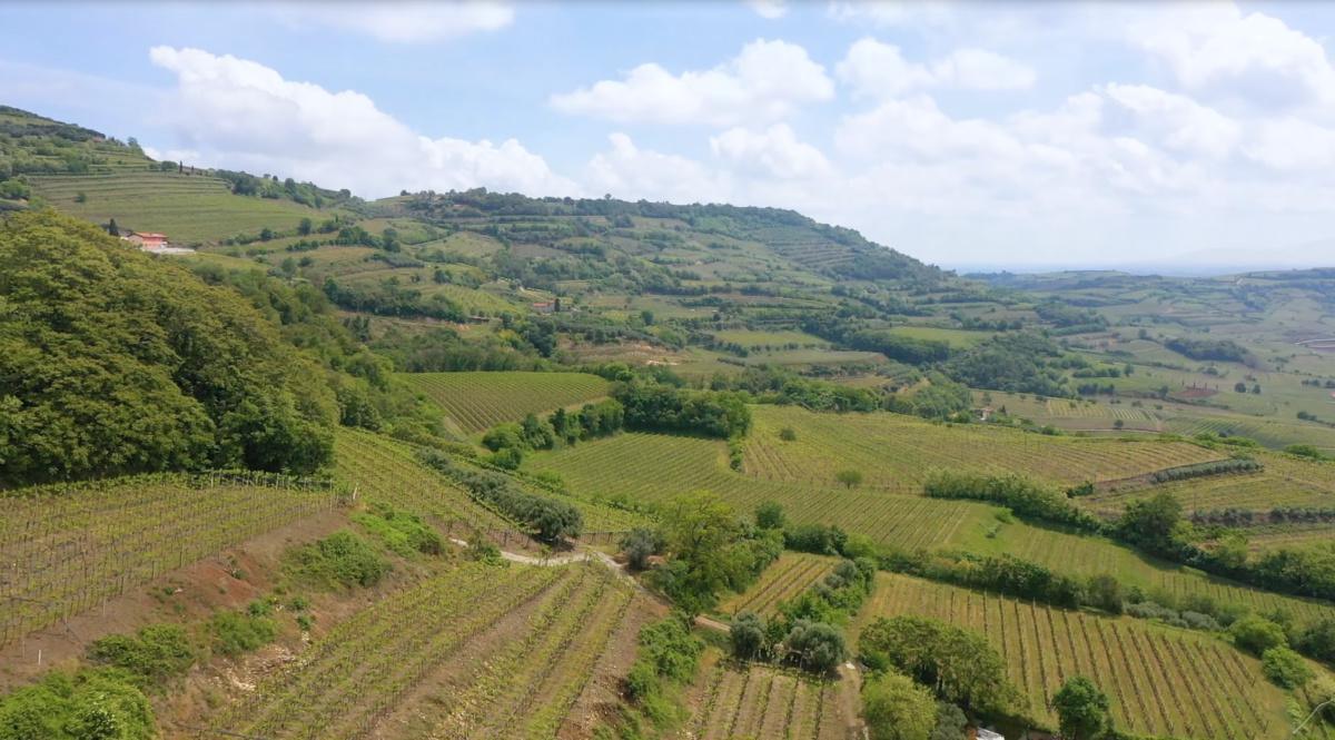 Riscopriamo la nostra bellezza: Soave