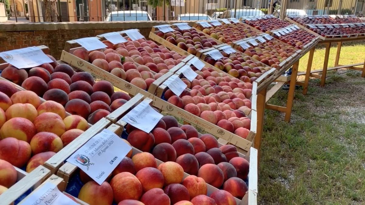 La Sagra di San Lorenzo di Pescantina La Sagra di San Lorenzo di Pescantina