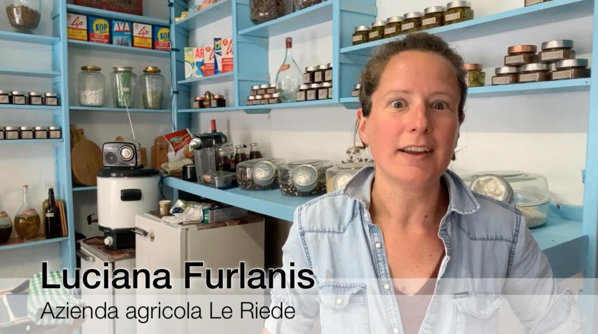 Cibiana, nella vecchia bottega della signora Maria... Cibiana, nella vecchia bottega della signora Maria...