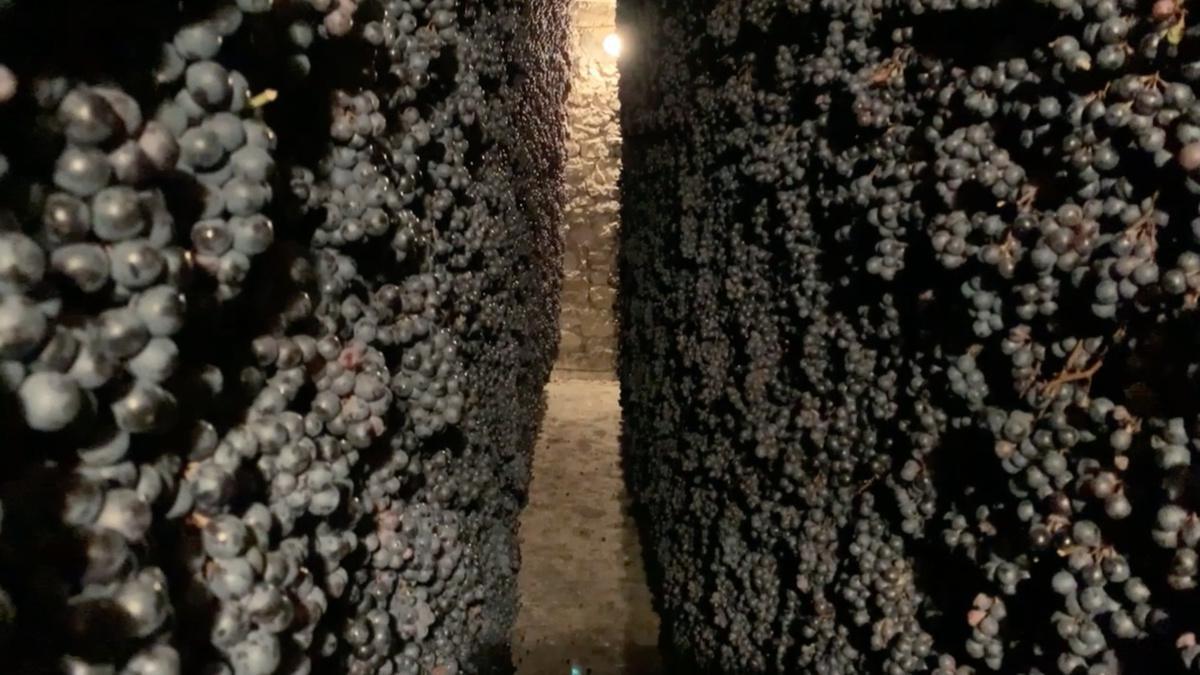 Zeno, l'ultimo romantico dell'amarone Zeno, l'ultimo romantico dell'amarone