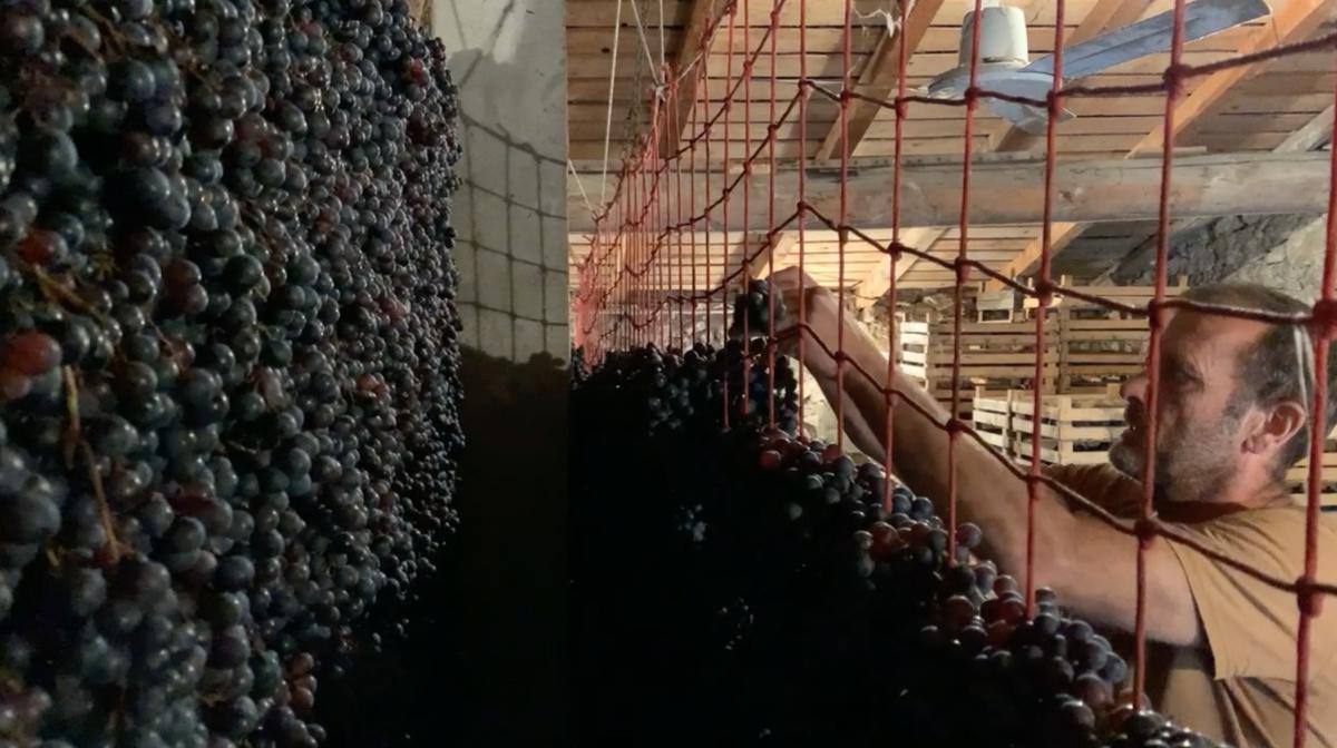 Zeno, l'ultimo romantico dell'amarone Zeno, l'ultimo romantico dell'amarone