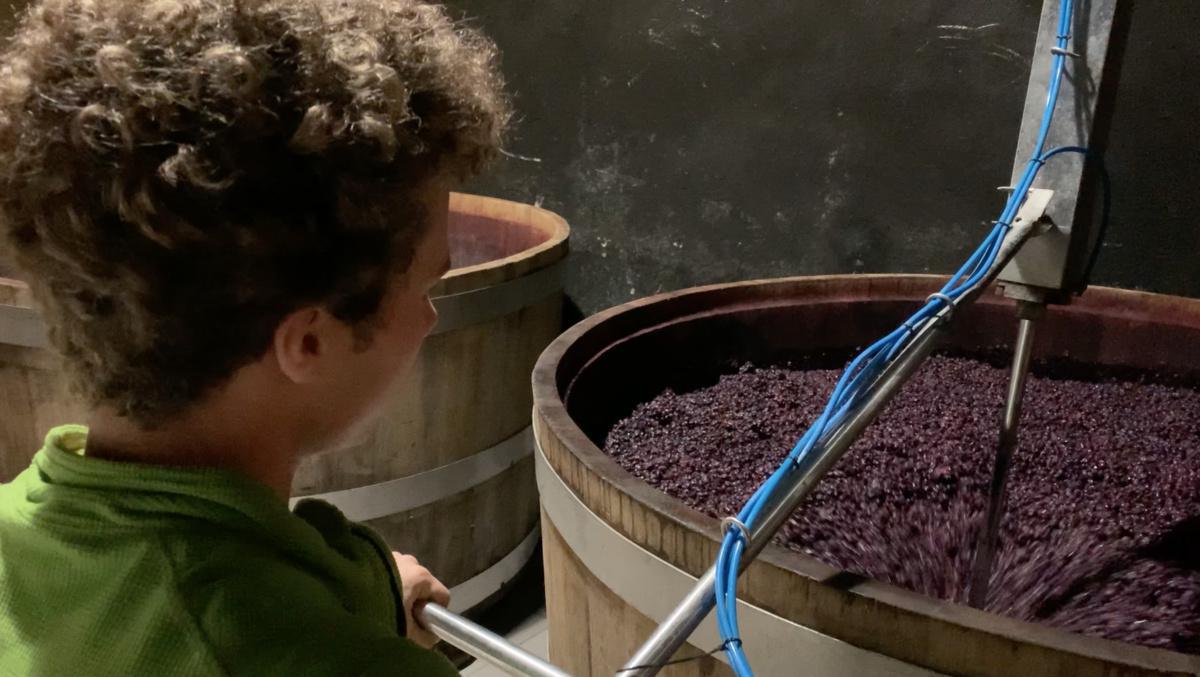 Mario Pojer, l'innovatore del vino