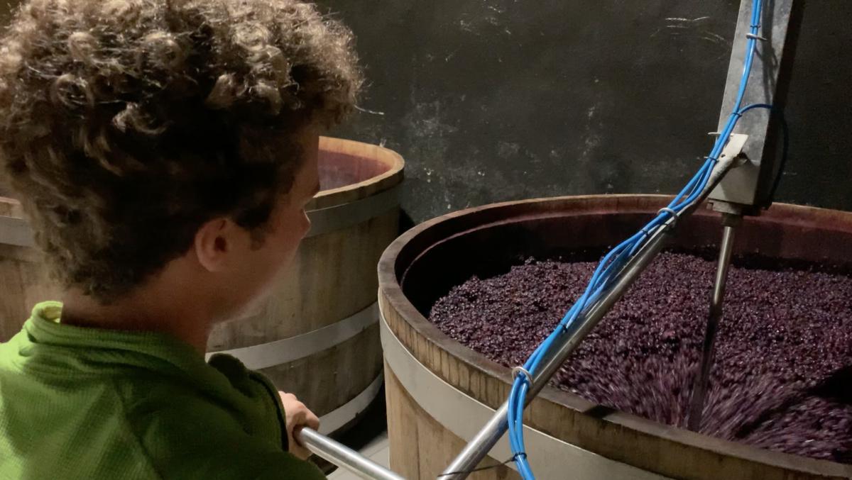 Mario Pojer, l'innovatore del vino Mario Pojer, l'innovatore del vino