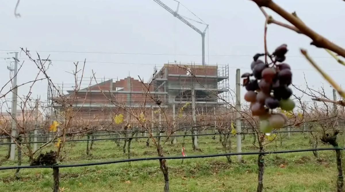 Il sogno di Veronica e Gloria Il sogno di Veronica e Gloria