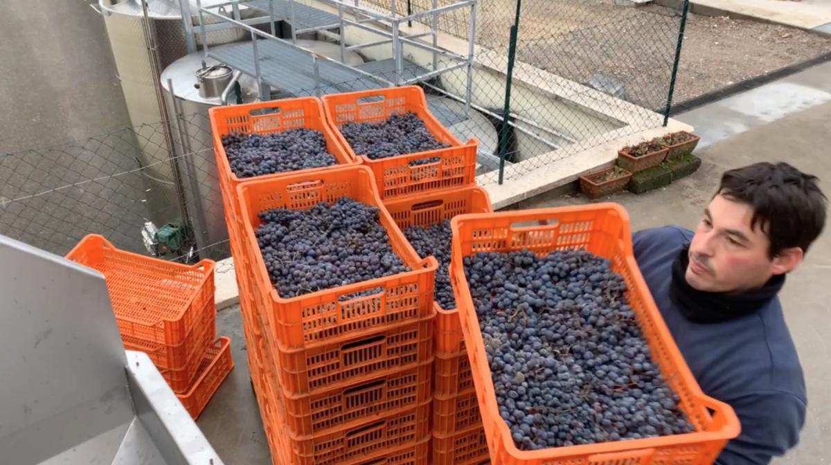 I Matìo de Carian, una storia da Valpolicella I Matìo de Carian, una storia da Valpolicella