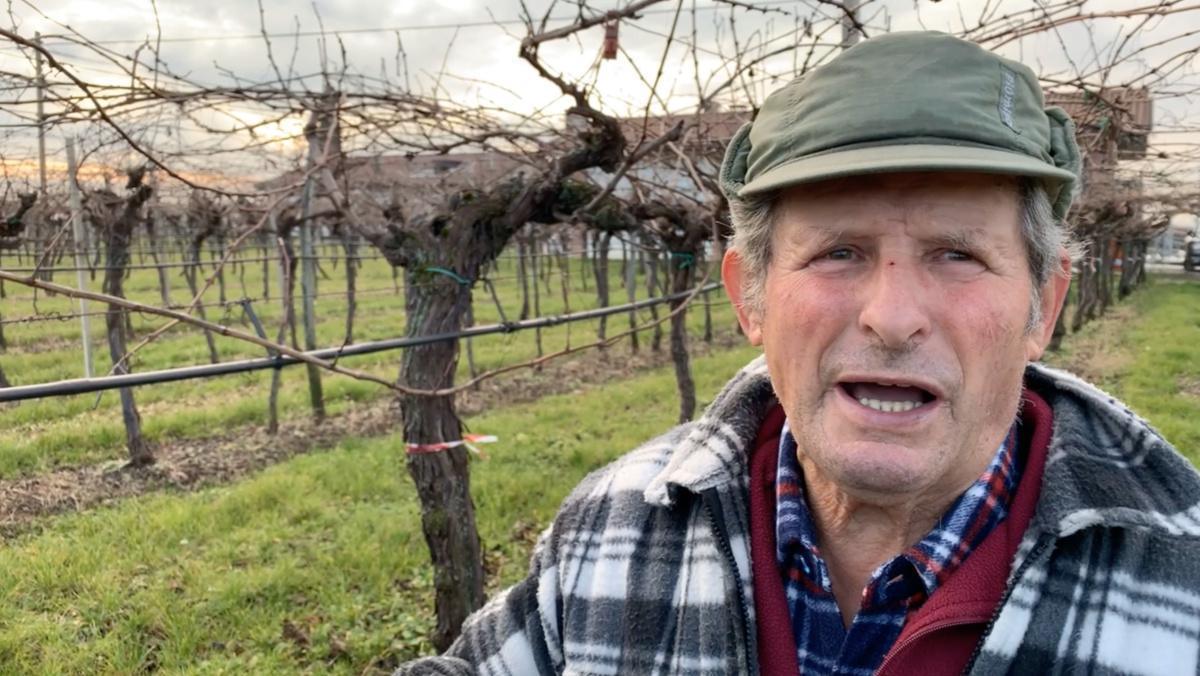 I Matìo de Carian, una storia da Valpolicella I Matìo de Carian, una storia da Valpolicella