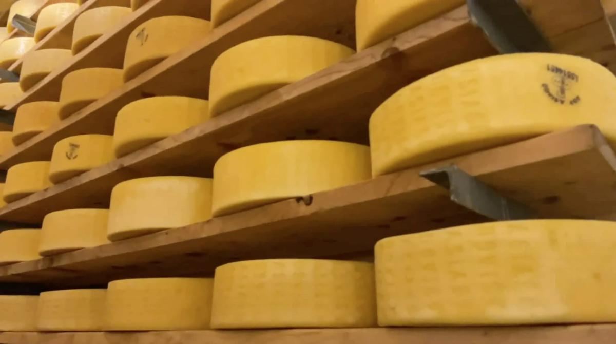 Malga Verde, una fattoria... Cortese! Malga Verde, una fattoria... Cortese!