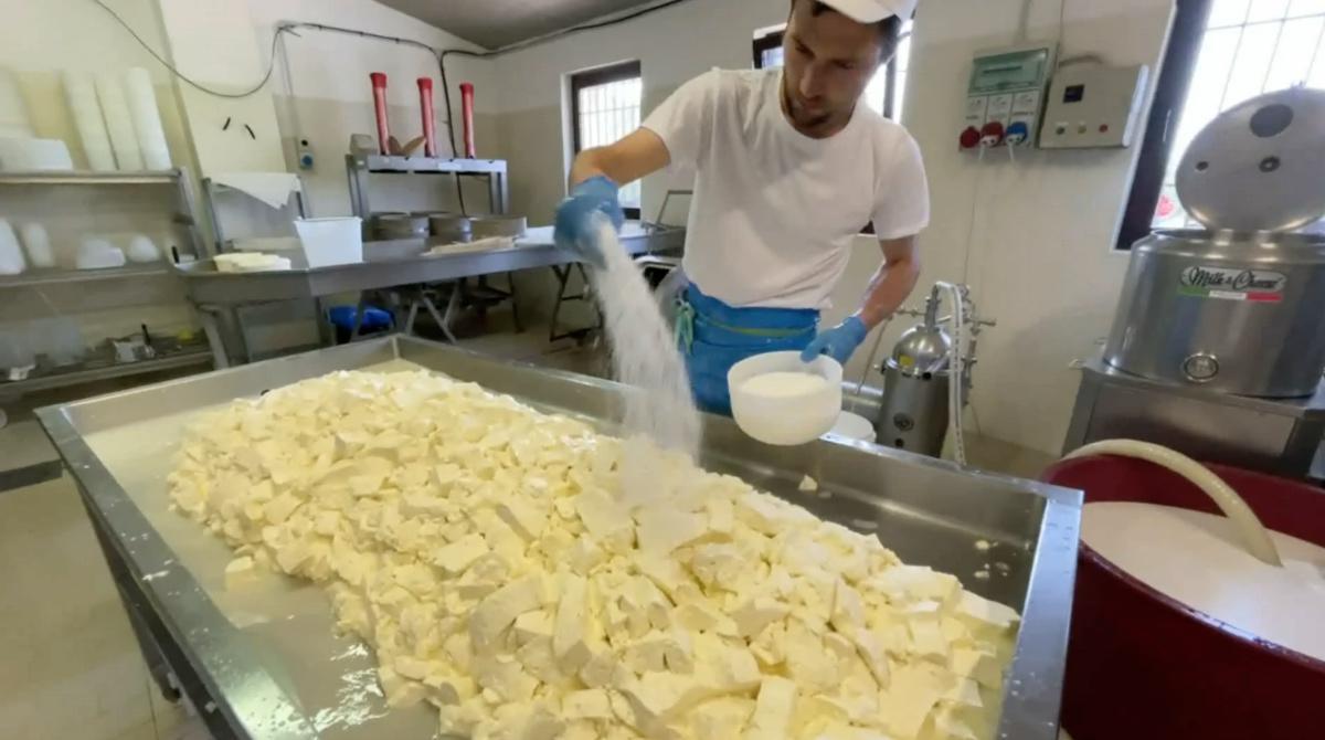 Malga Verde, una fattoria... Cortese! Malga Verde, una fattoria... Cortese!