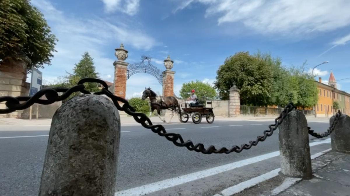 Zimella, un tesoro da scoprire Zimella, un tesoro da scoprire