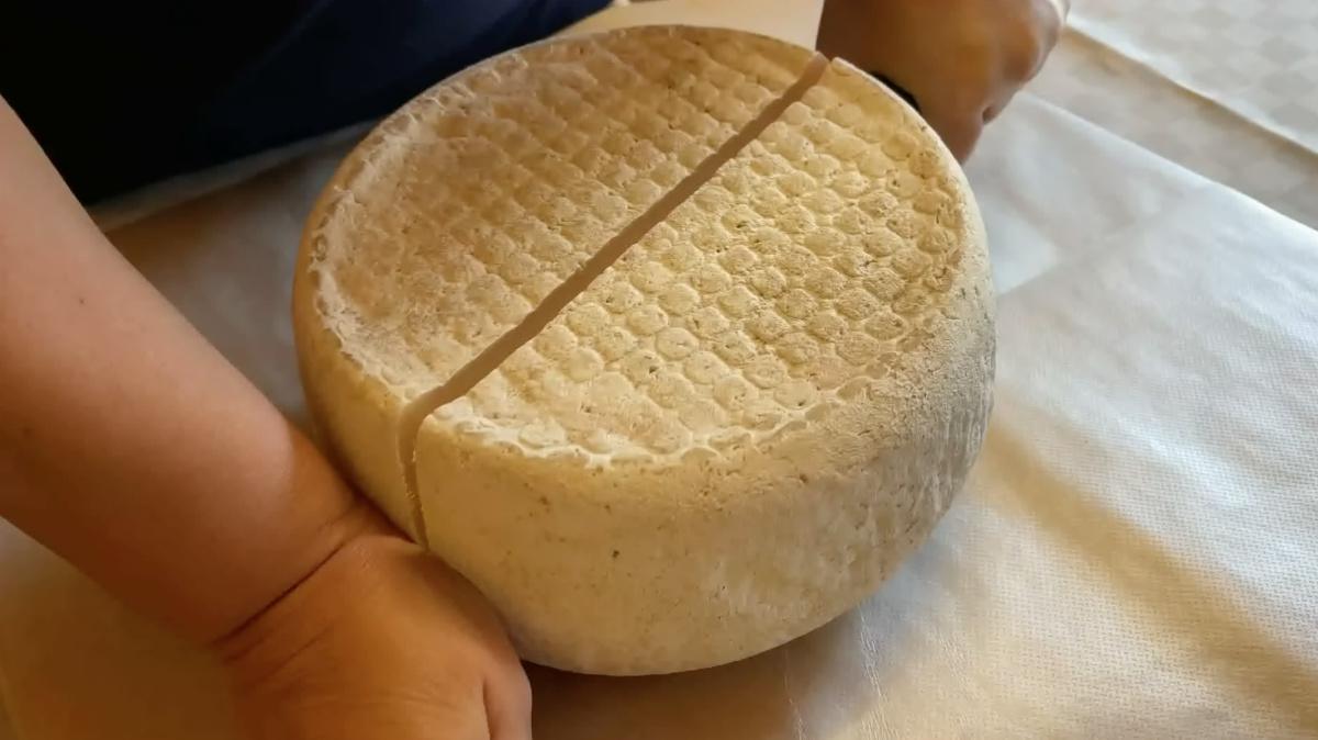 Zimella, l'orgoglio della tradizione rurale Zimella, l'orgoglio della tradizione rurale
