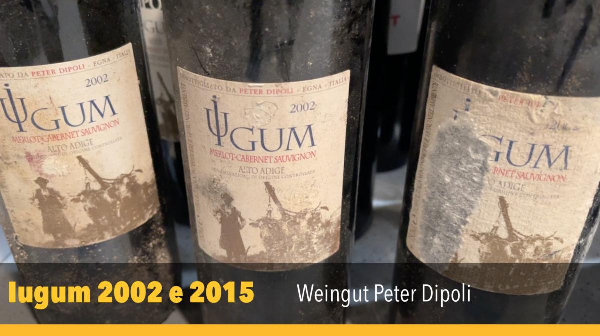 Alto Adige vs Bordeaux vs Toscana: chi vince? Alto Adige vs Bordeaux vs Toscana: chi vince?