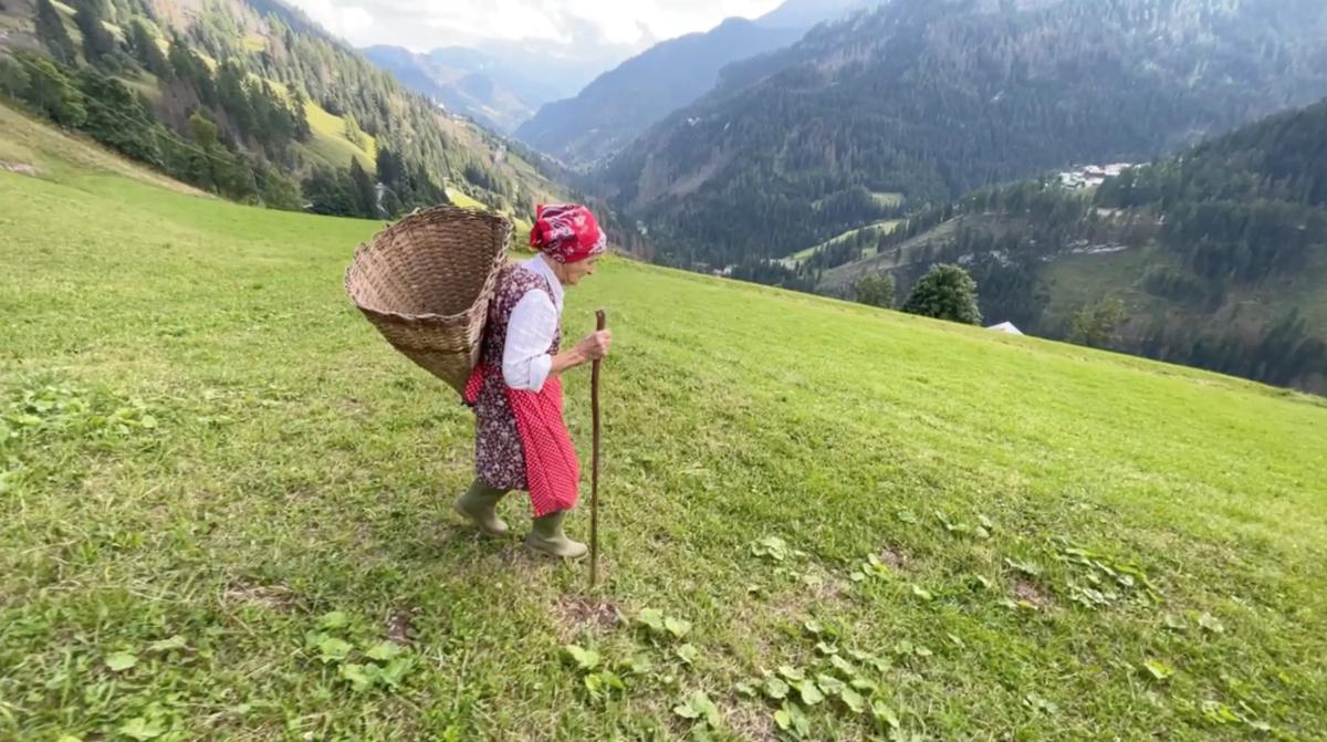 Nelle Vicìnie di Livinallongo Nelle Vicìnie di Livinallongo