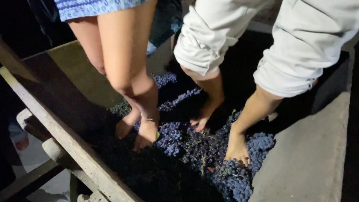 Il Clinto, l'irresistibile Vino dei Nonni Il Clinto, l'irresistibile Vino dei Nonni
