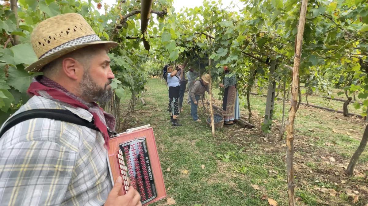 Il Clinto, l'irresistibile Vino dei Nonni Il Clinto, l'irresistibile Vino dei Nonni