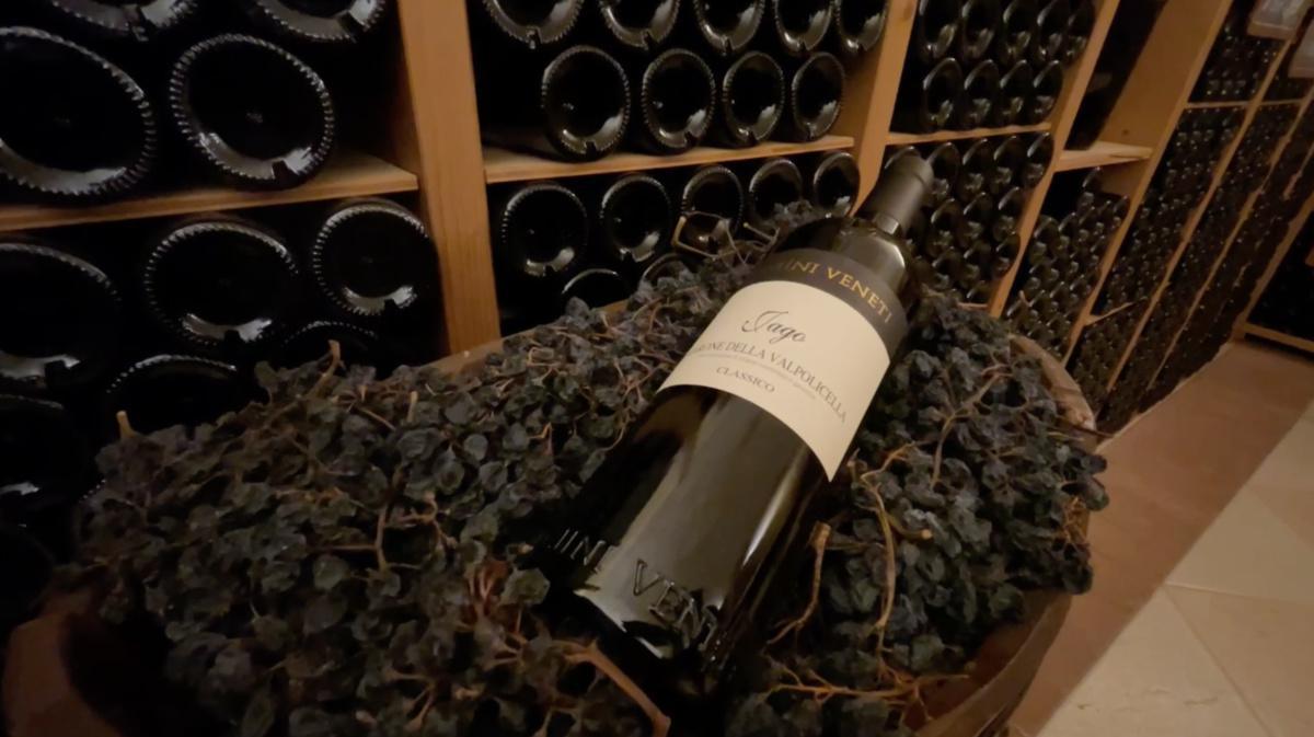 Nel Museo dell'Appassimento Nel Museo dell'Appassimento