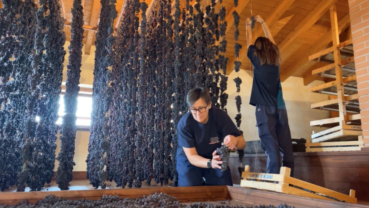 Nel Museo dell'Appassimento Nel Museo dell'Appassimento