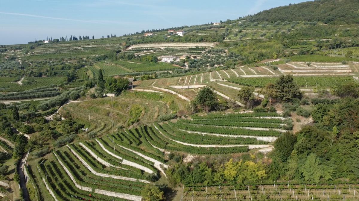 Cà La Bionda, il Vino fatto con le Mani