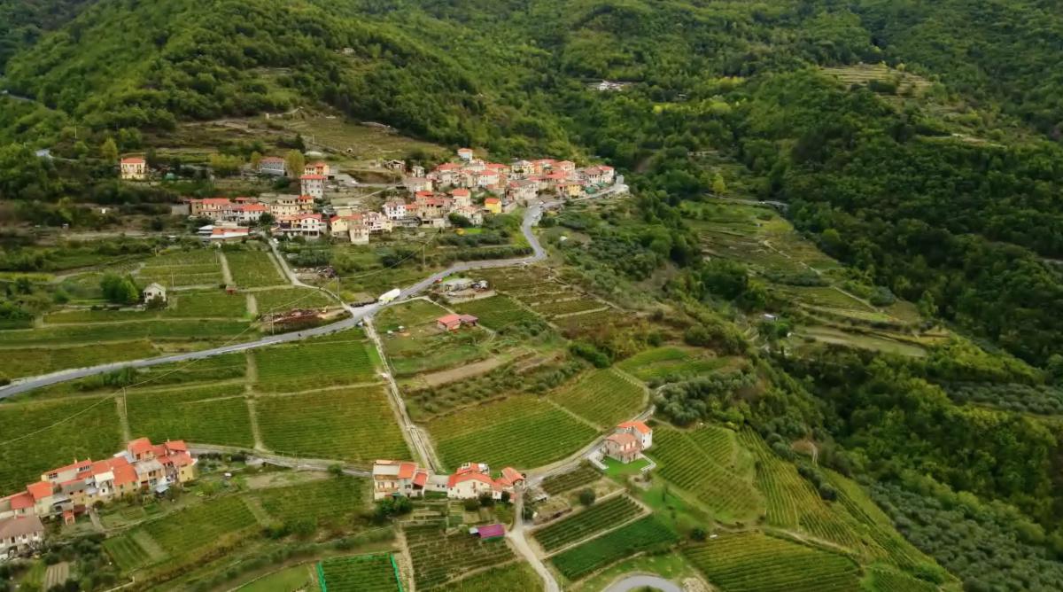 Alla Scoperta dell'Ormeasco di Pornassio Alla Scoperta dell'Ormeasco di Pornassio