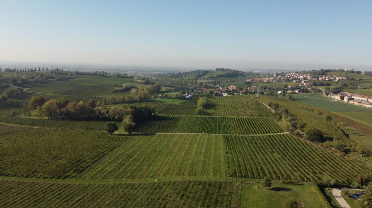 Roberta, l'Avvocatessa del Custoza Roberta, l'Avvocatessa del Custoza