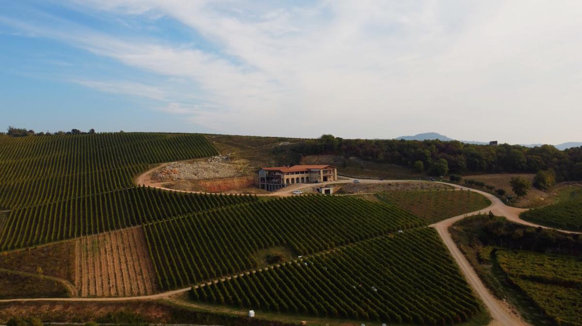 Gini: nell'anticamera del Recioto di Soave Gini: nell'anticamera del Recioto di Soave