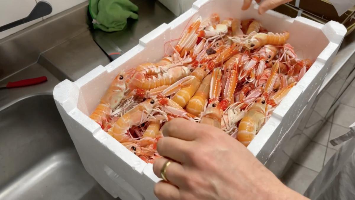 Simone, lo Specializzato del Pesce Simone, lo Specializzato del Pesce